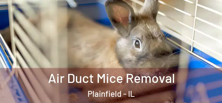 Air Duct Mice Removal Plainfield - IL