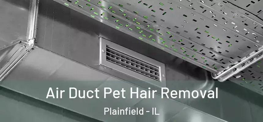  Air Duct Pet Hair Removal Plainfield - IL