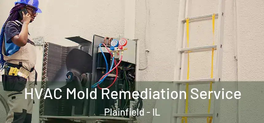 HVAC Mold Remediation Service Plainfield - IL