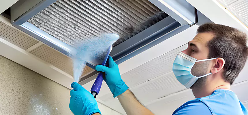 Proactive Dryer Vent & Auxiliary Duct Pollen Cleanup in Plainfield, IL
