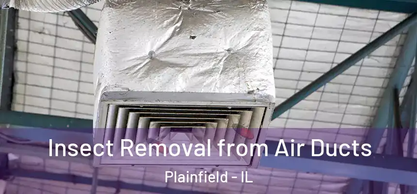 Insect Removal from Air Ducts Plainfield - IL