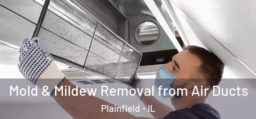 Mold & Mildew Removal from Air Ducts Plainfield - IL