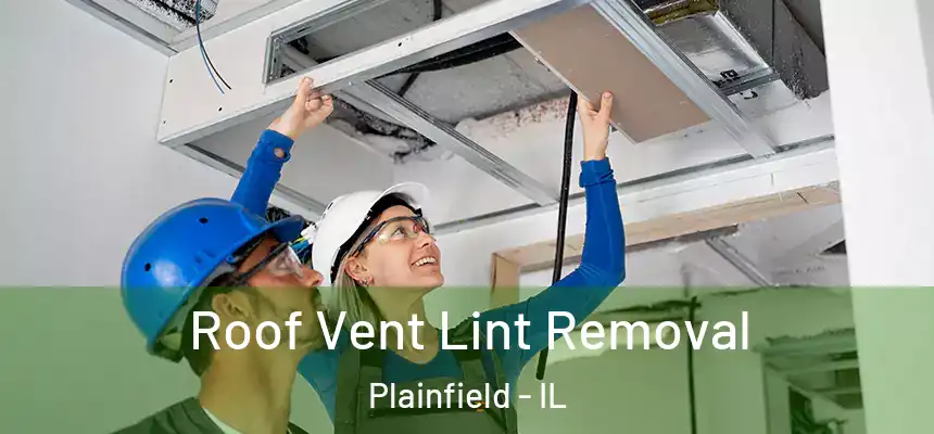  Roof Vent Lint Removal Plainfield - IL