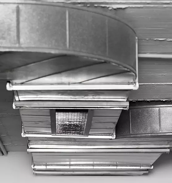 Professional Air Duct Pet Hair Removal in Plainfield, IL