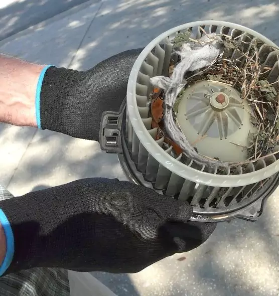 About Air Duct Rat Removal in Plainfield, IL