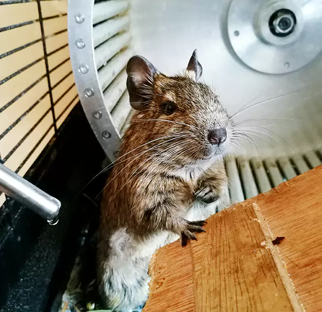 Why Homeowners & Businesses Trust Us Plainfield, IL?