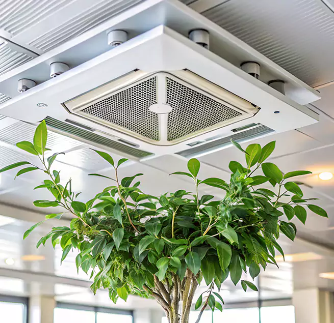 Why Homeowners & Businesses Trust Us in Plainfield, IL?