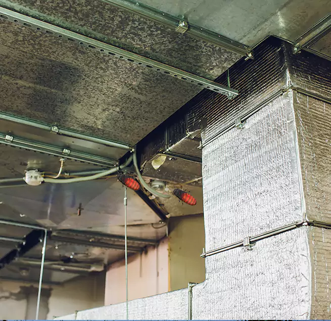 Why Homeowners & Businesses Trust Us Plainfield, IL?