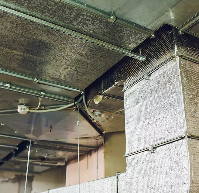 Why Homeowners & Businesses Trust Us in Plainfield, IL?